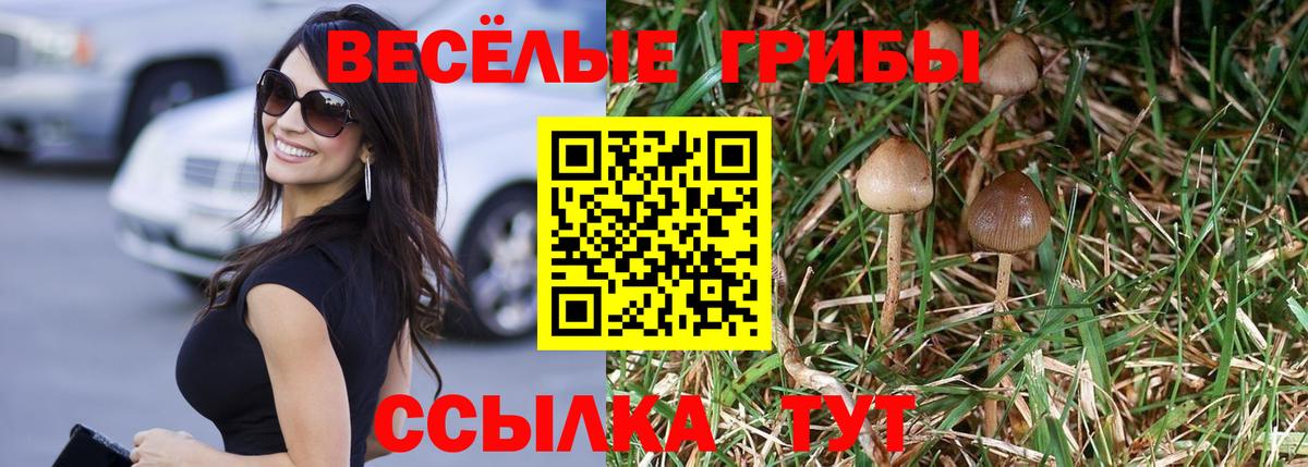 Псилоцибиновые грибы мухоморы  Галлюциногенные грибы Cubensis  как найти закладки  Вход с VPN  Нефтеюганск 